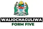 Majina Ya Selection Form Five 2026