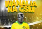Mchina Mweusi Wanalia na GSM