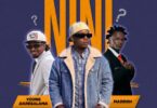 Salmin Swaggz Ft Young Daresalama Maddoh Utaniambia Nini