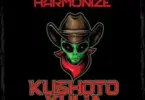 harmonize kushoto kulia