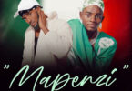 Busara ft Don Breezy Mapenzi