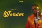 Diamond Platnumz WONDER