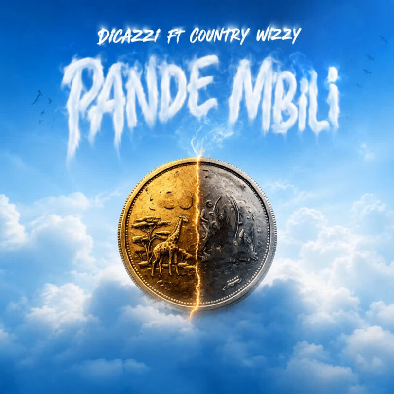 Dicazzi Ft. Country Wizzy Pande Mbili