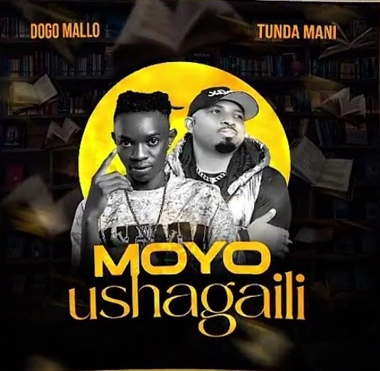 Dogo Mallo Ft Tundaman Moyo Ushagaili