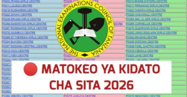 Matokeo ya Kidato cha Sita 2026 Ya Shule Zote Form six results