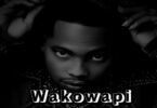 Mc lana Dogo Elisha Wakowapi