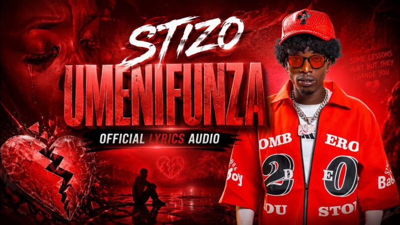 Stizo – Umenifunza
