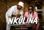 Weasel Ft Chameleon – Nkulina