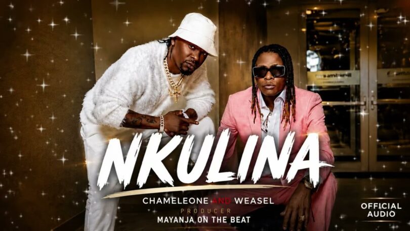 Weasel Ft Chameleon – Nkulina