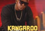 Willy Paul Kangaroo Komosava