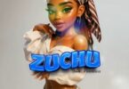 ZAiiD Ft. P Mawenge Zuchu