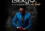 ay ft diamond platnumz zigo remix